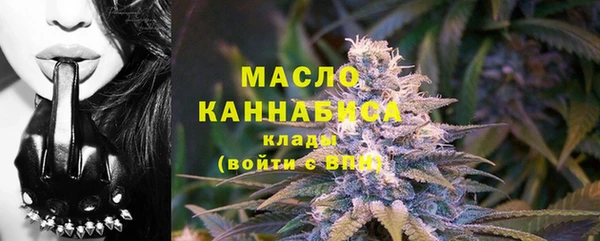 СК Алексин
