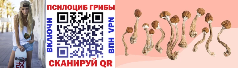 Галлюциногенные грибы Magic Shrooms  Починок 
